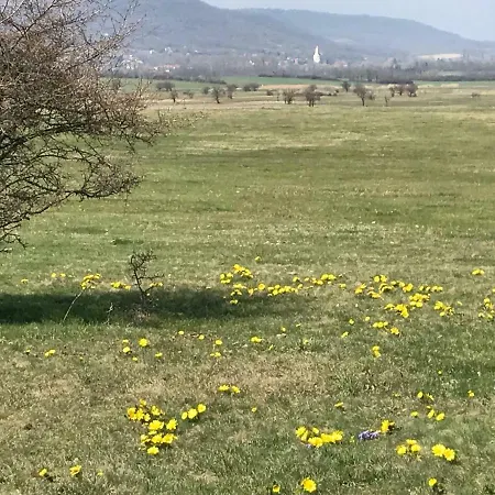 Golyashaz アパート Kővágóörs