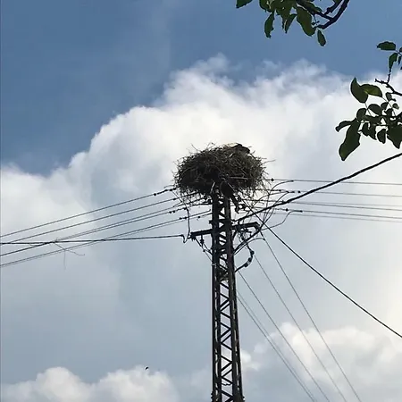 Апартаменты Golyashaz Kovagoors