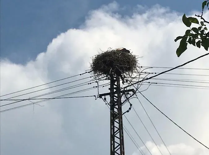 Appartement Golyashaz Kovagoors